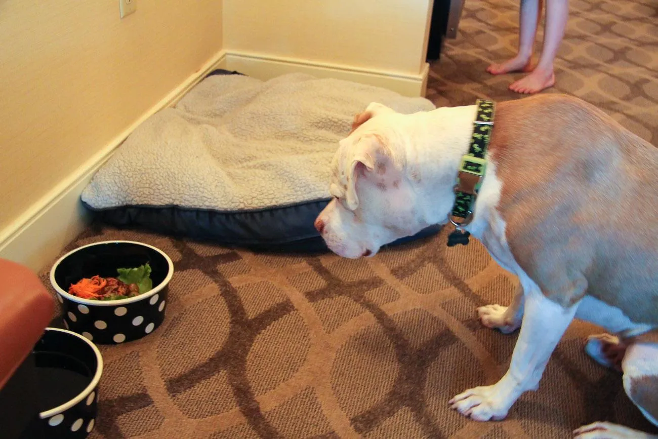 There's a room service menu for dogs at West Inn and Suites