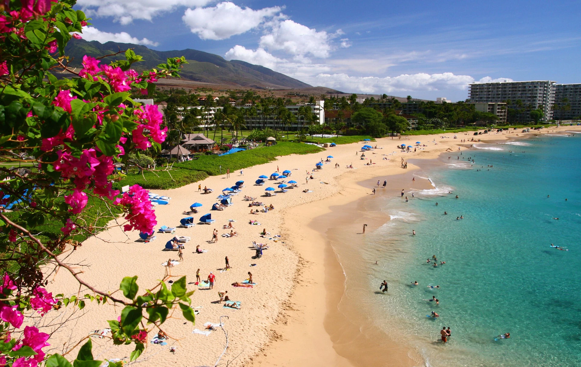 People dotting the Kaanapali beach on a sunny day