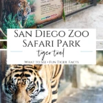 Tiger Trail is the conservation-minded Sumatran tiger habitat at San Diego Zoo Safari Park. We're members so I'll share our favorite things to do and see here.