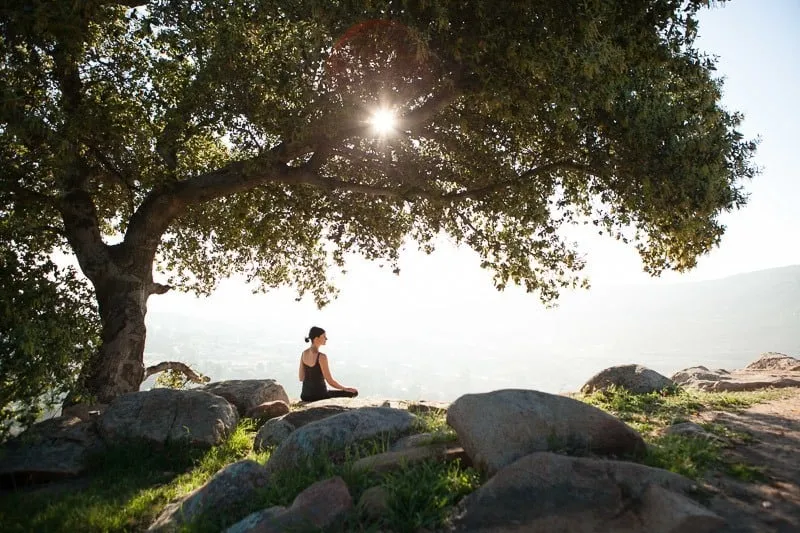 rancho la puerta family week