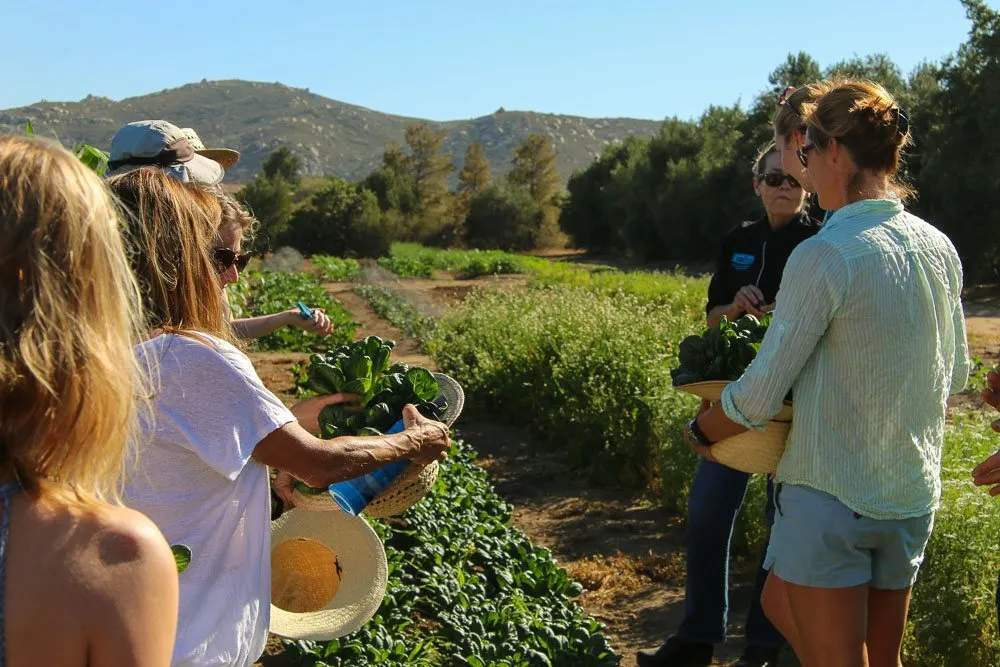 rancho la puerta cocina que canta garden