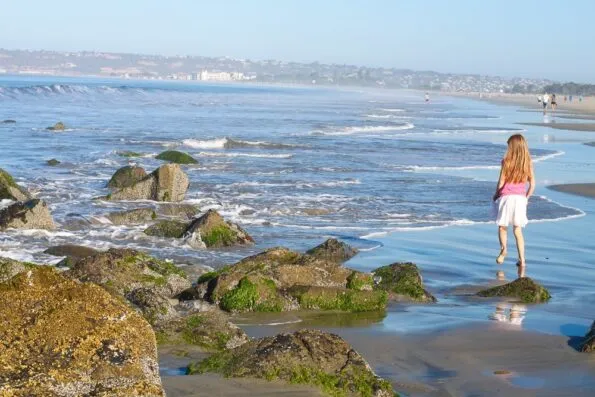 Hotel Del Coronado Beach Tidepools