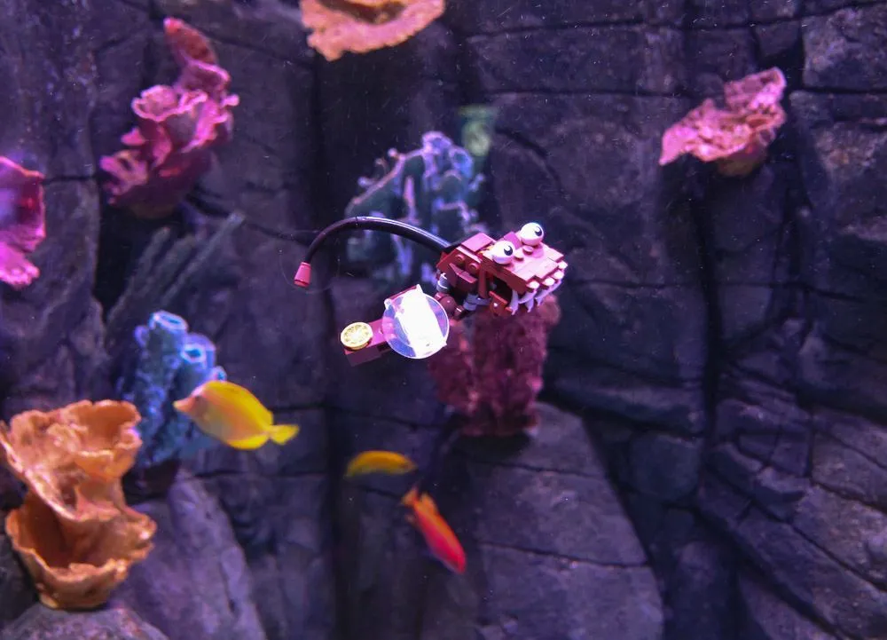 LEGO figures inside exhibits at SEA LIFE Aquarium Carlsbad