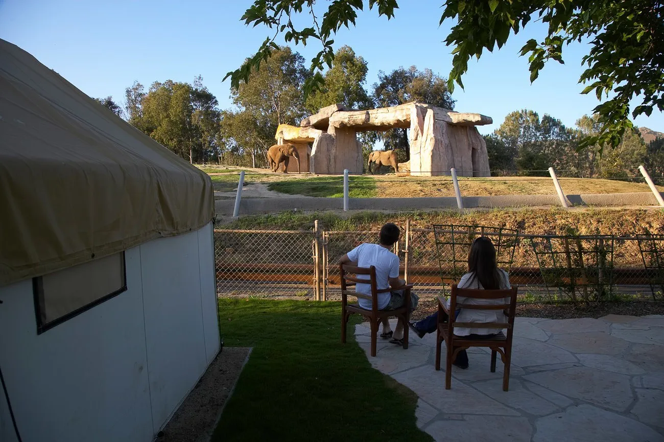 Spend the night at the San Diego Zoo Safari Park by booking the Roar and Snore Safari