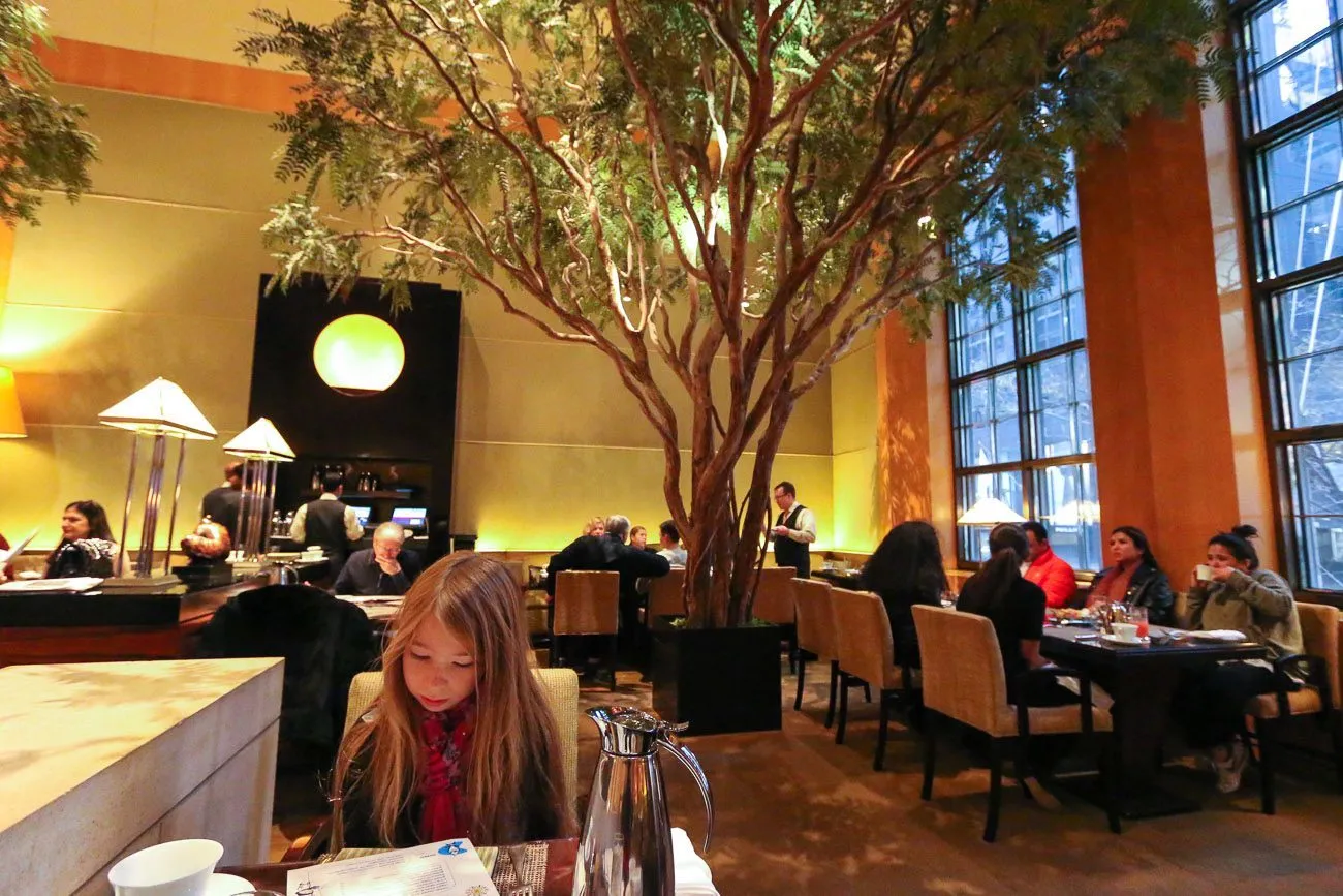 The Garden restaurant at Four Seasons Hotel New York has an enchanted forest feel with giant acacia trees.