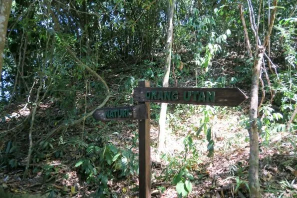 Rasa Ria Nature Reserve in Kota Kinabalu