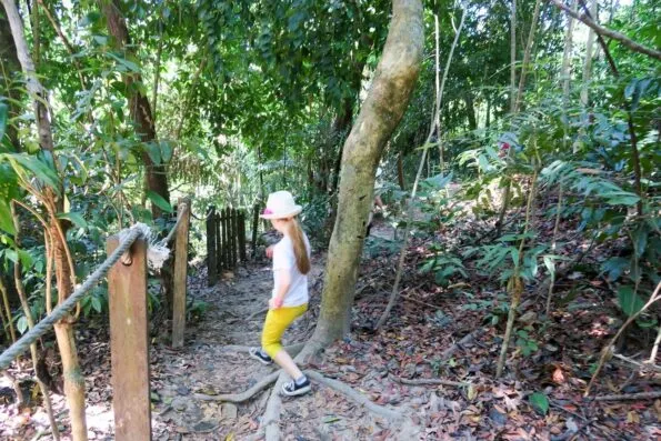 The path to the orangutan viewing platform at Shangri-la Rasa Ria Resort