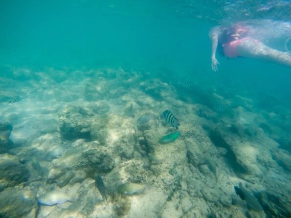Snorkeling off Mamutik Island in Kota Kinabalu