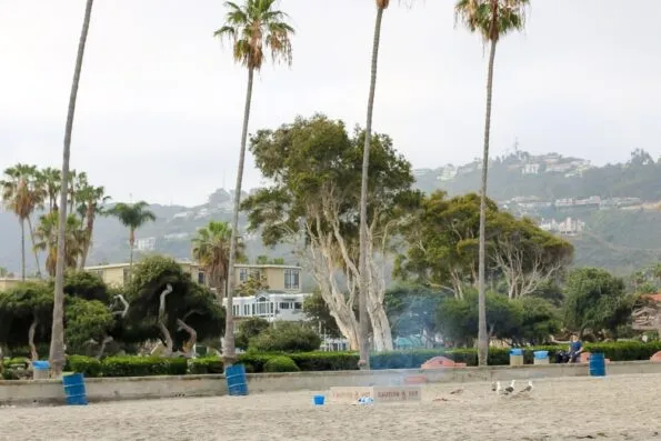 Public fire pits are available at La Jolla Shores beach.