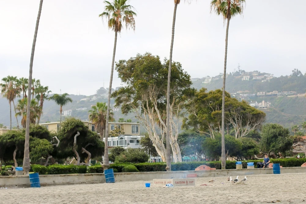 Public fire pits are available at La Jolla Shores beach.