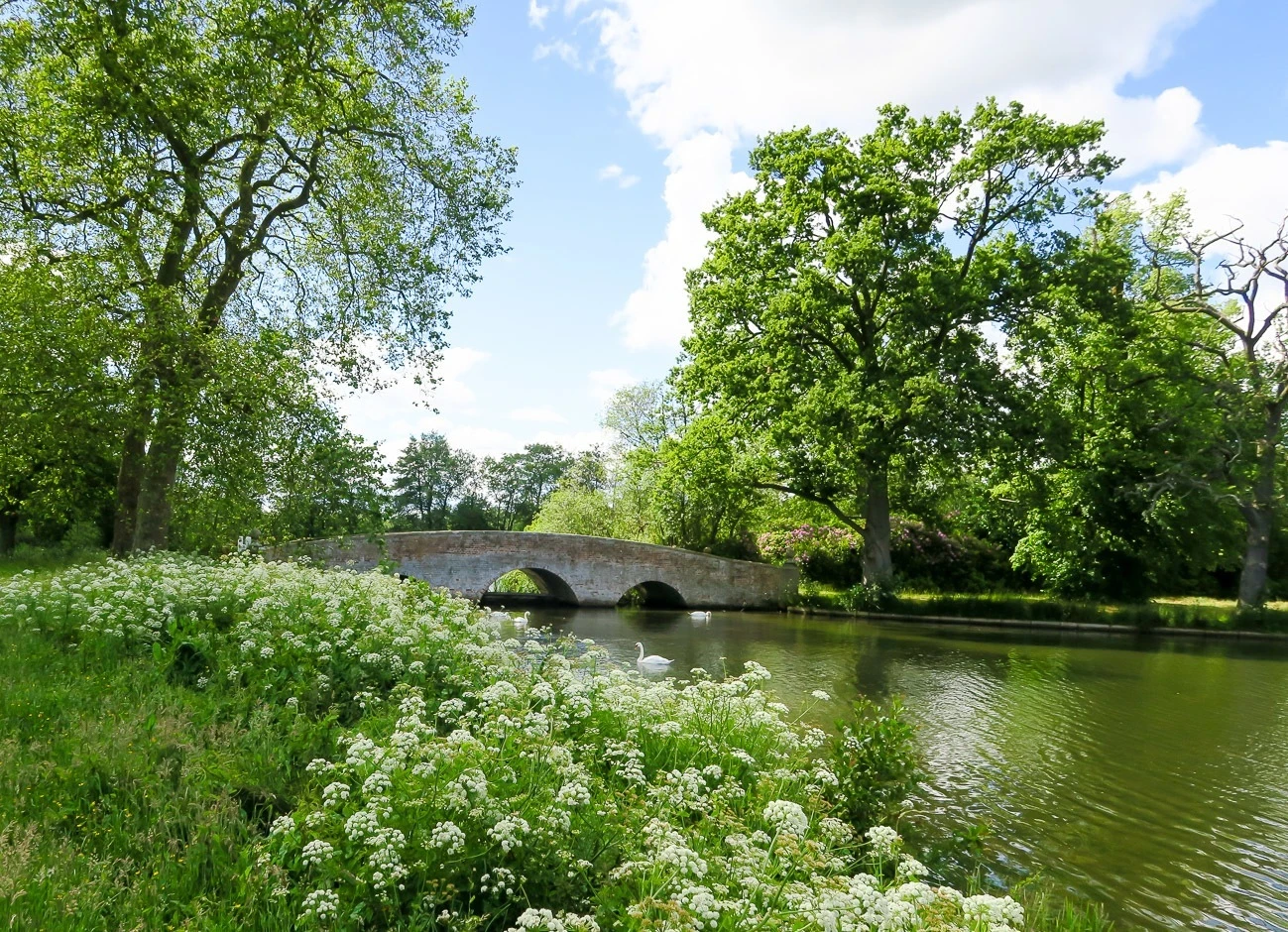 The canals and swans near Four Seasons Hotel Hampshire, England