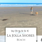 Why La Jolla Shores Beach is one of San Diego's best beaches for underwater park access, kayaking, surfing, pretty sand, free parking, and family fun.
