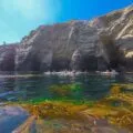A kayak tour of the La Jolla sea caves by Everyday California