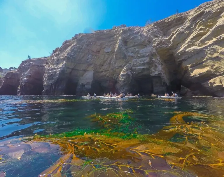 A kayak tour of the La Jolla sea caves by Everyday California