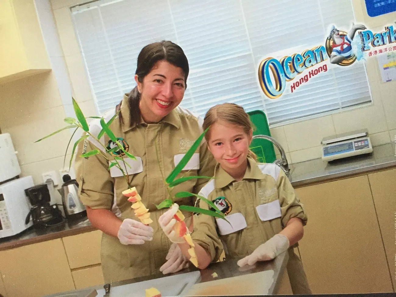 We skewered apples on bamboo to feed the pandas at Ocean Park in Hong Kong