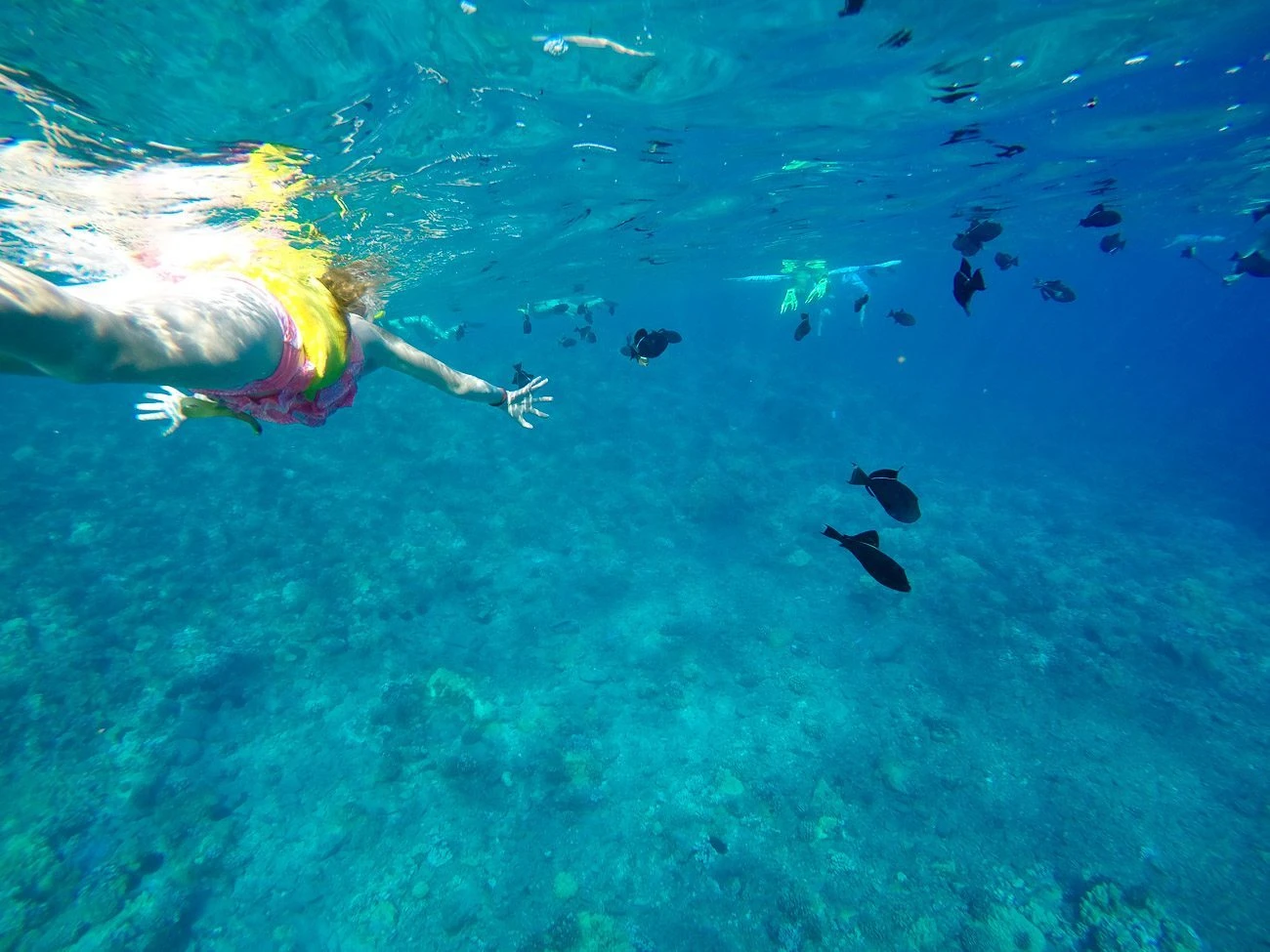Snorkeling with Kai Kanani off of Molokini Island in the early morning was great for my daughter.