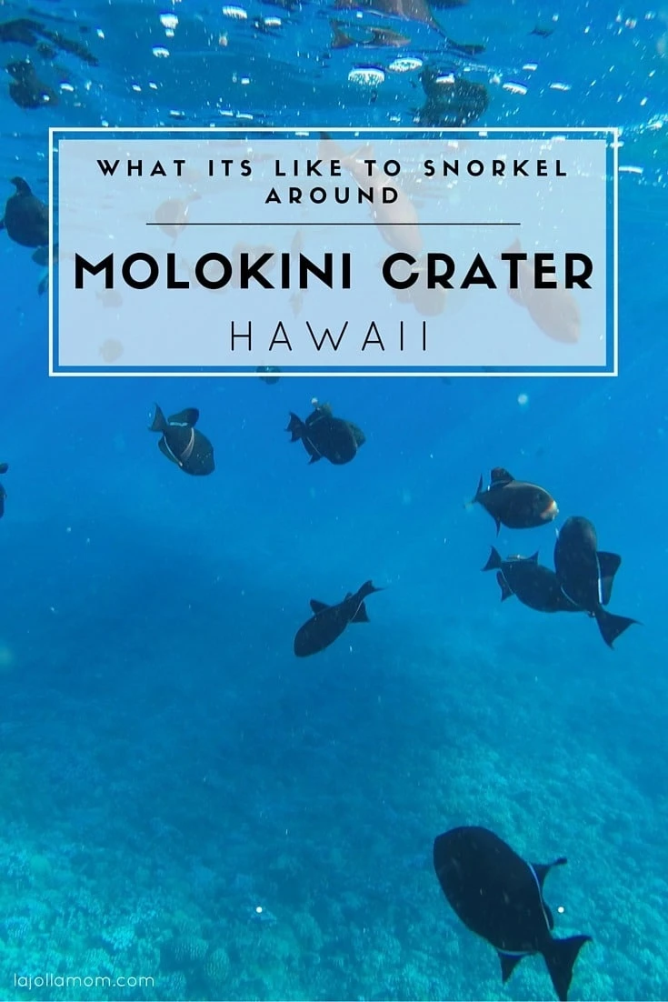 We took a very early morning tour out to Molokini crater from Wailea, Maui. Here's why it was awesome.