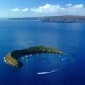 A review of our snorkeling tour around Molokini island with Kai Kanani charters and what we say underwater.