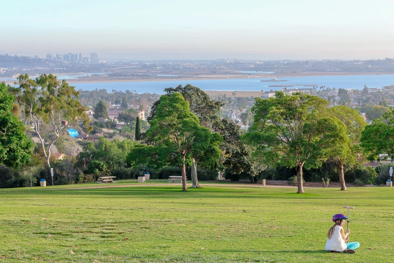 Kick scooters like the Micro Maxi help kids develop motor skills. Plus, they're fun and my daughter loves hers!