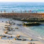 Learn what the best things to do in La Jolla are from beaches to museums to lots of wildlife.