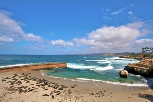 Things to do in La Jolla