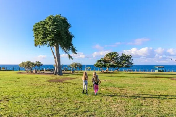 My daughter and her friends stand on the grass looking at the wind-blown trees at Ellen Browning Scripps Park in La Jolla, California.