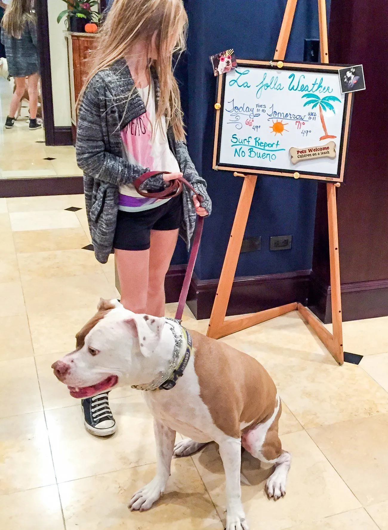 Empress Hotel La Jolla is one of San Diego's best pet-friendly hotels.