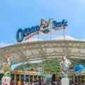 The BEST guide to Ocean Park Hong Kong with Kids (and Without)