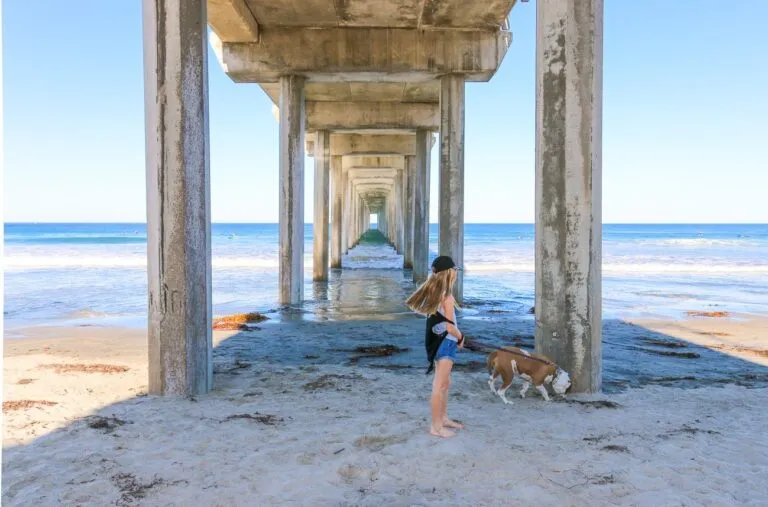 Beneath Scripps Pier is one of the most popular places for photography in La Jolla and San Diego (very frequently seen on Instagram, too).