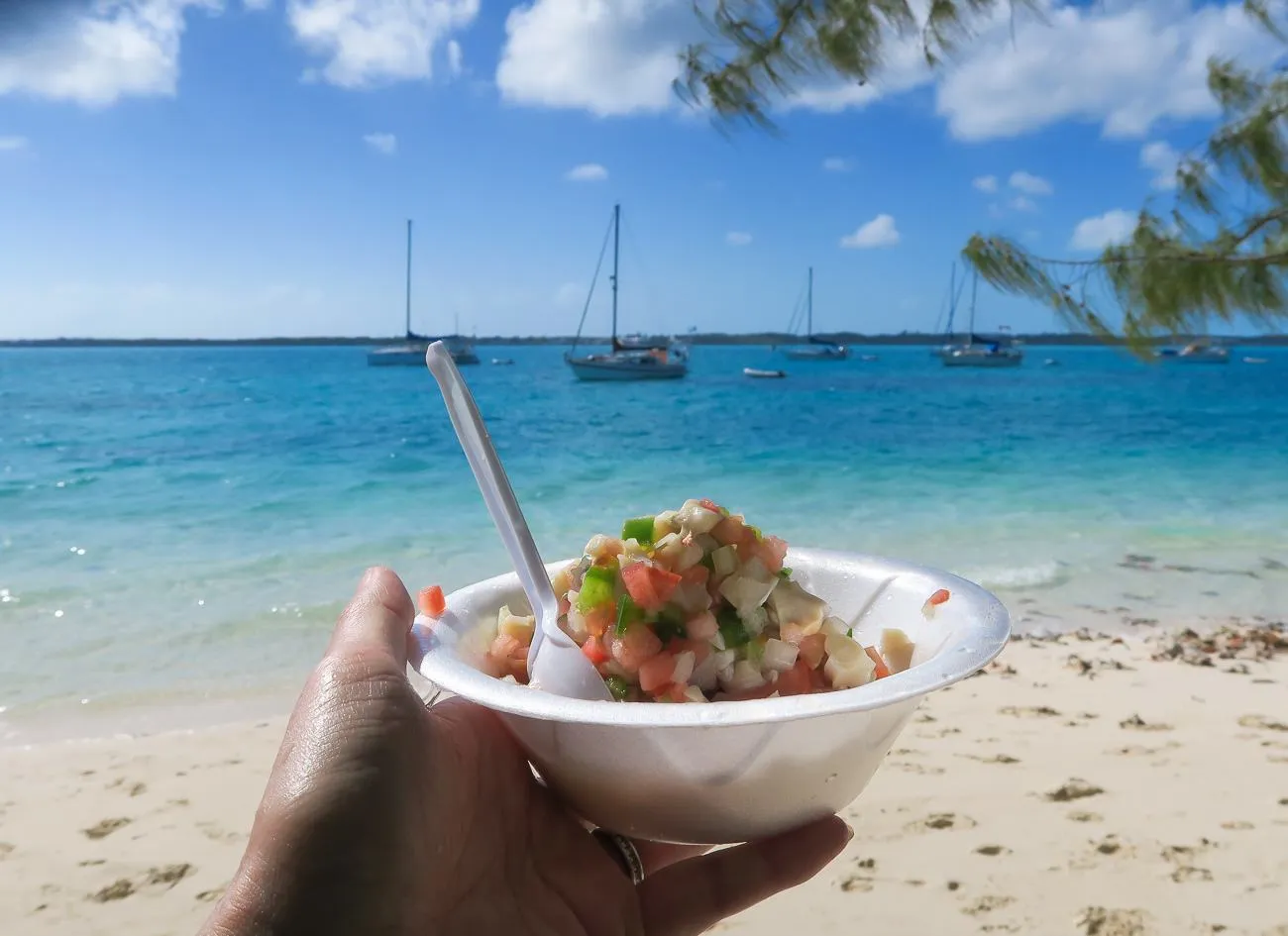 When visiting Great Exuma, conch salad at Chat N Chill is a must. Plus, you feed scraps to stingrays!