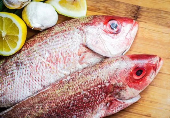 Red snapper from Fishbone at Liberty Public Market in San Diego