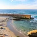 Children's Pool and seals are a major La Jolla attraction.