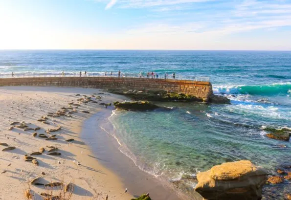 Children's Pool sea wall and seals on the beach at at golden hour, both major La Jolla attractions.