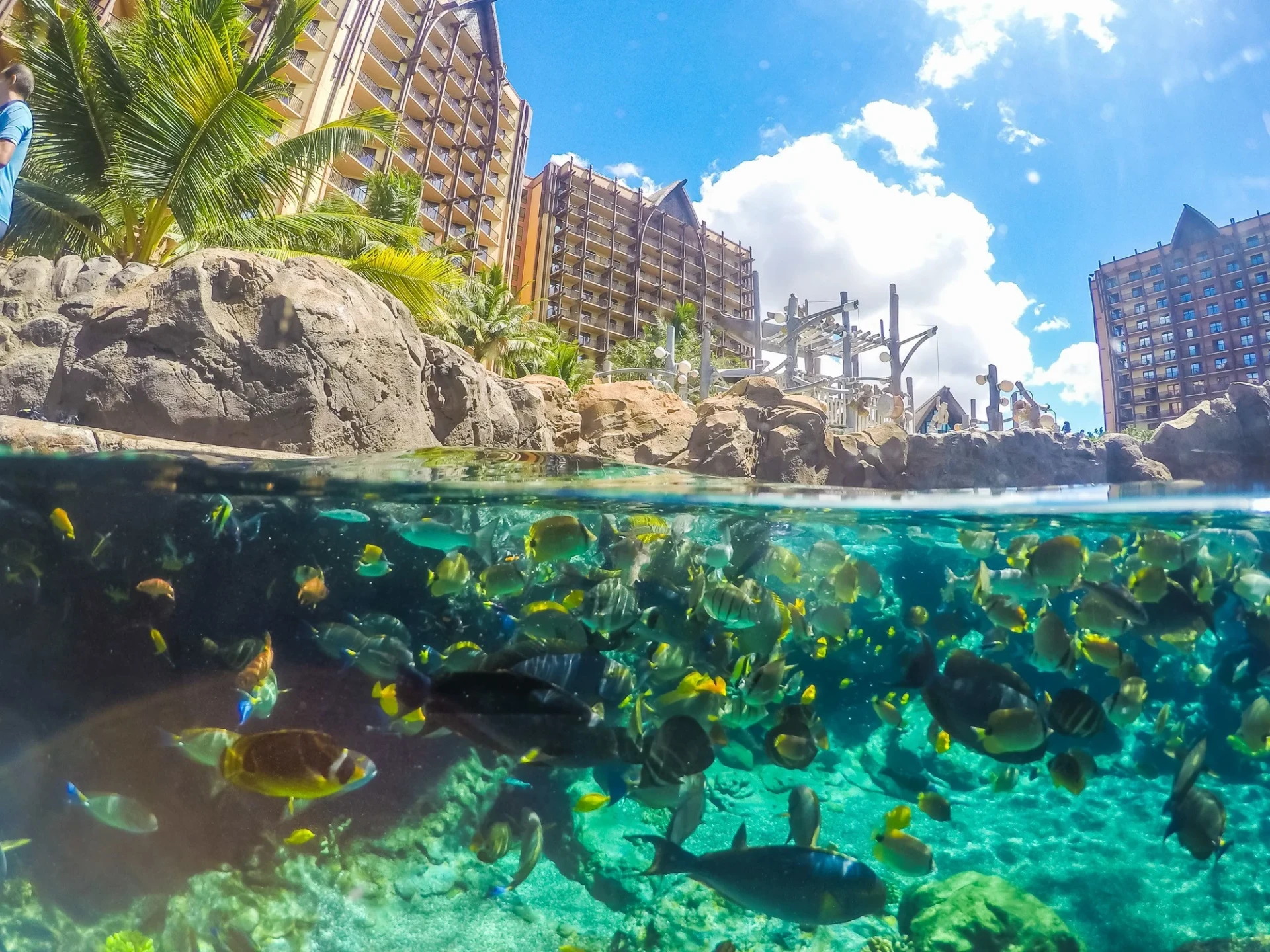 Go snorkeling with thousands of tropical fish in Oahu's only private reef at Aulani, a Disney Resort & Spa.