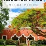 Grab friends or family and book a stay at the luxurious Hacienda Petac in Mexico's Yucatan peninsula near Merida.