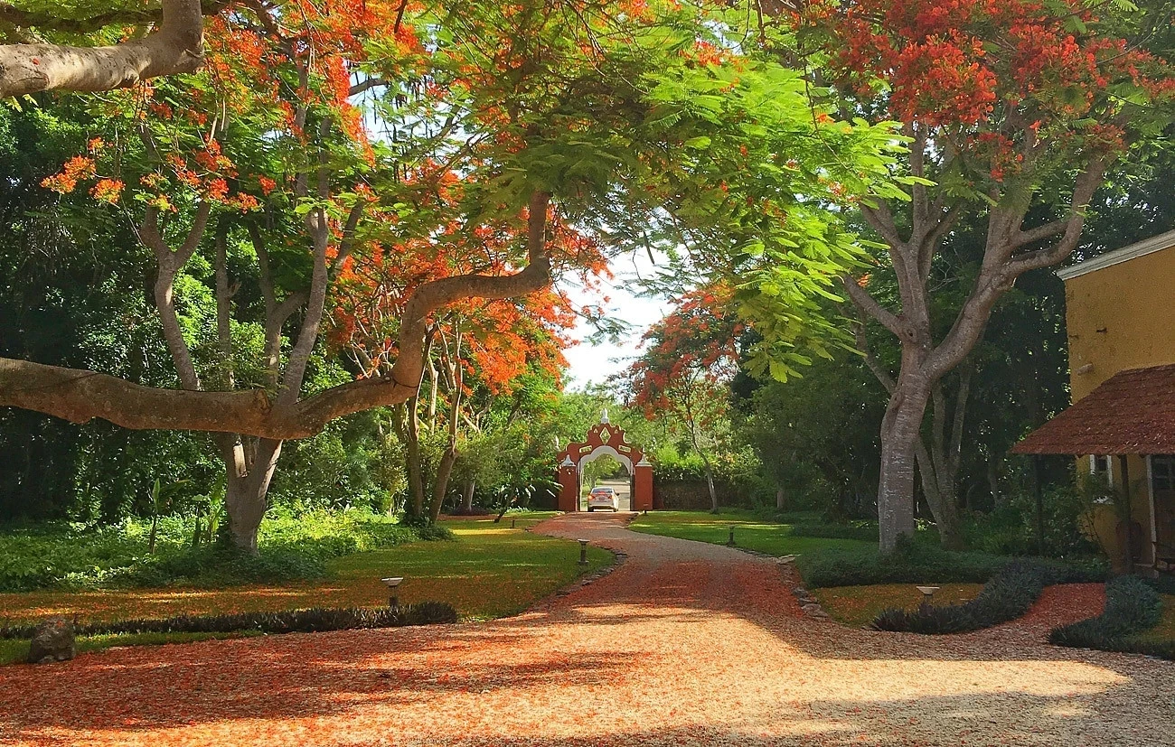 A taxi leaving the gate at Hacienda Petac near Merida in Mexico