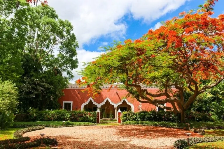 A review of Hacienda Petac, luxury accommodations in the Yucatan near Merida.