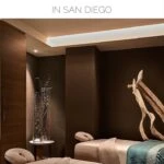 See what it's like to spend a morning using the facilities at The Spa at Coronado Island inside the Marriott.