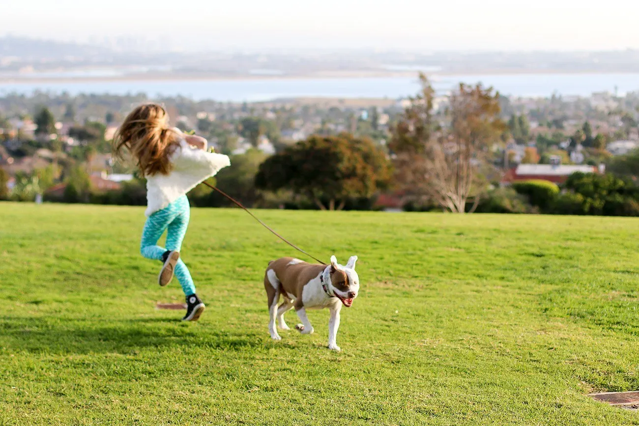 Scooby at Kate Sessions Park