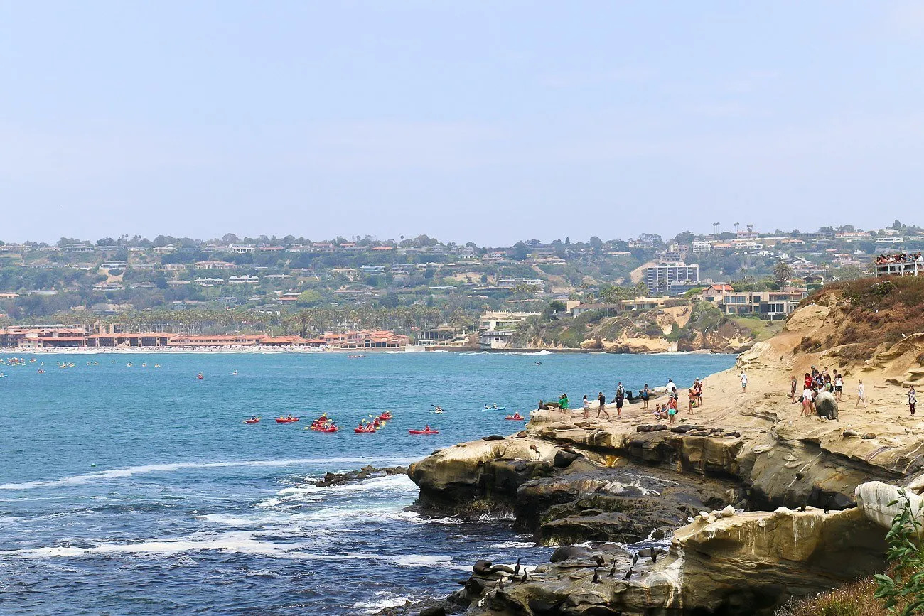 Kayakers and seals seen in the ocean from La Jolla Cove
