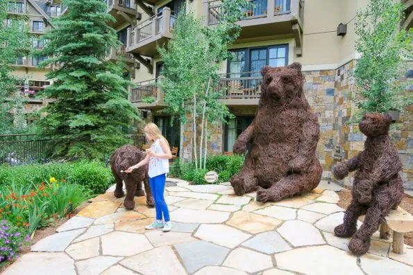 Snap a photo next to the #FSVailBears to share on social media.