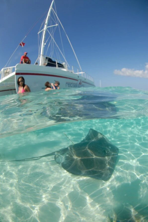 When in Grand Cayman, visit Stingray City. It's a sandbar with water 3-4' deep where you can stand and snorkel with stingrays!