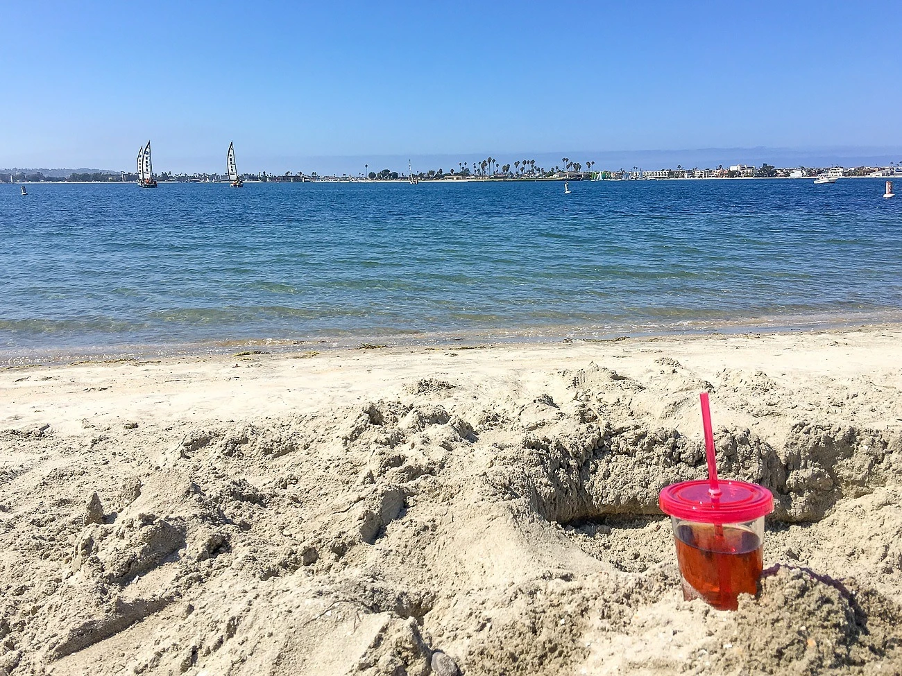 One of San Diego's most family-friendly beaches is the bayfront beach at Fanuel Park.