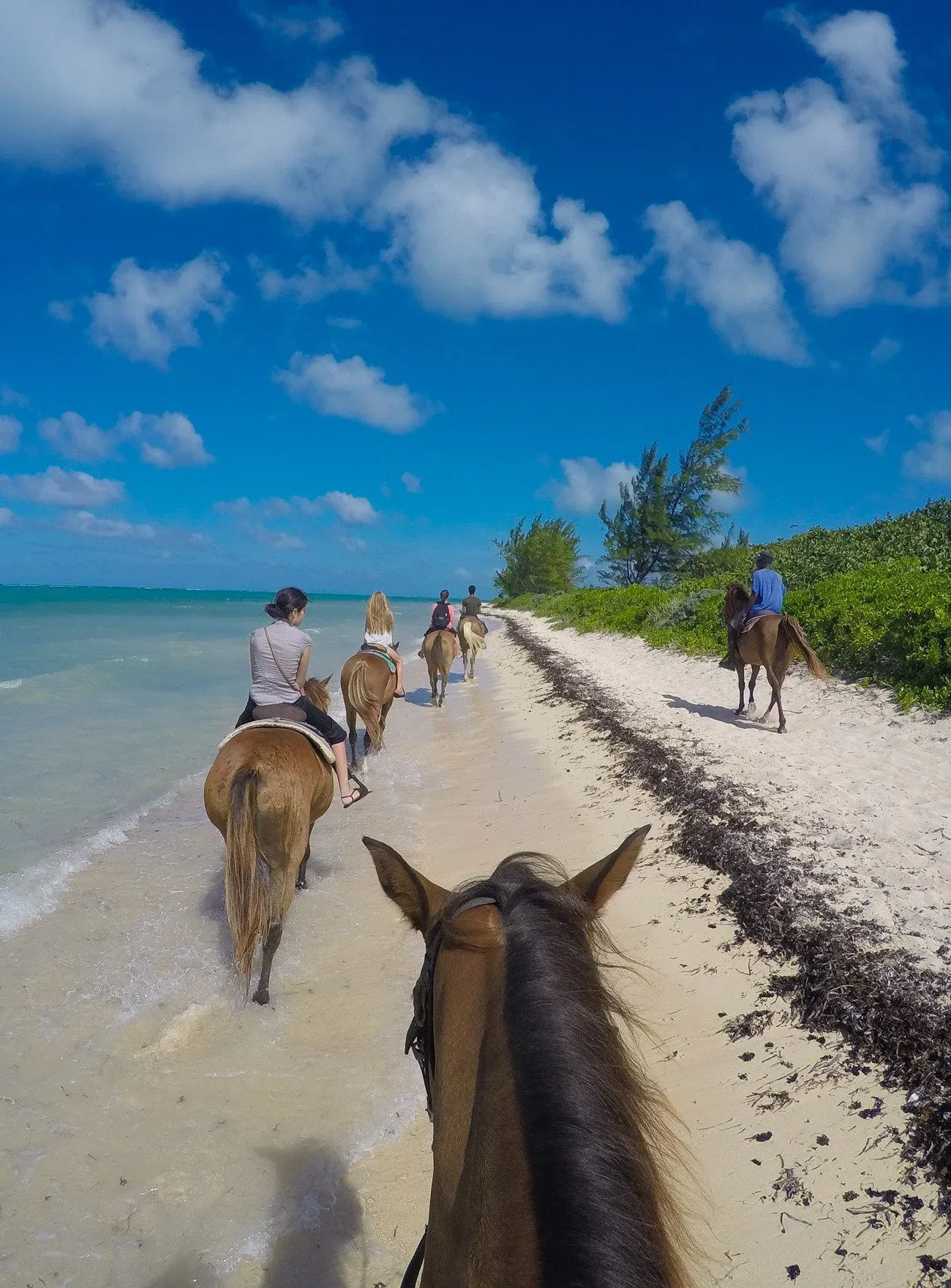 Horseback riding on the beach is a fun Grand Cayman activity with kids or without.
