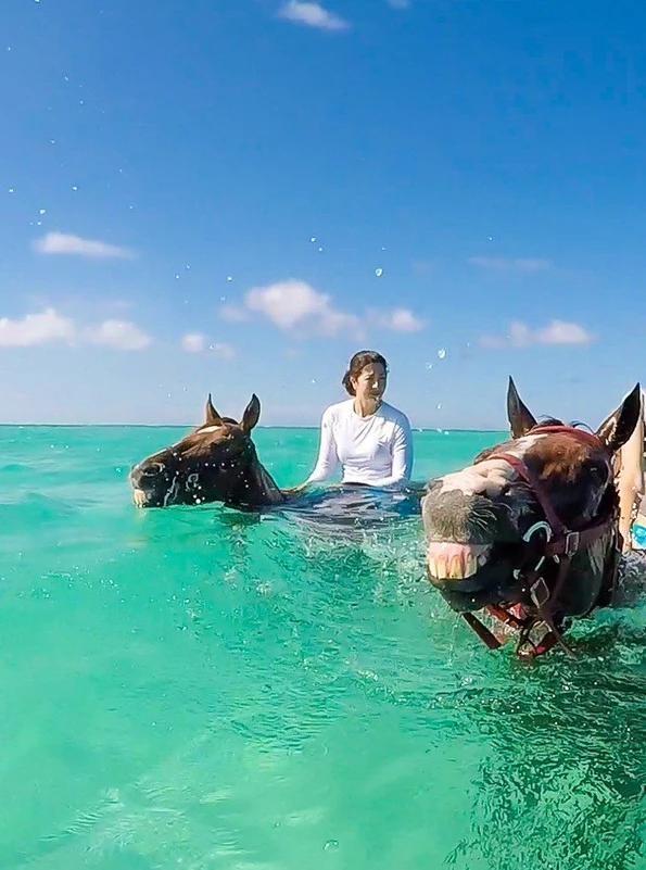 Take a swimming horse tour on your next Cayman Islands vacation.