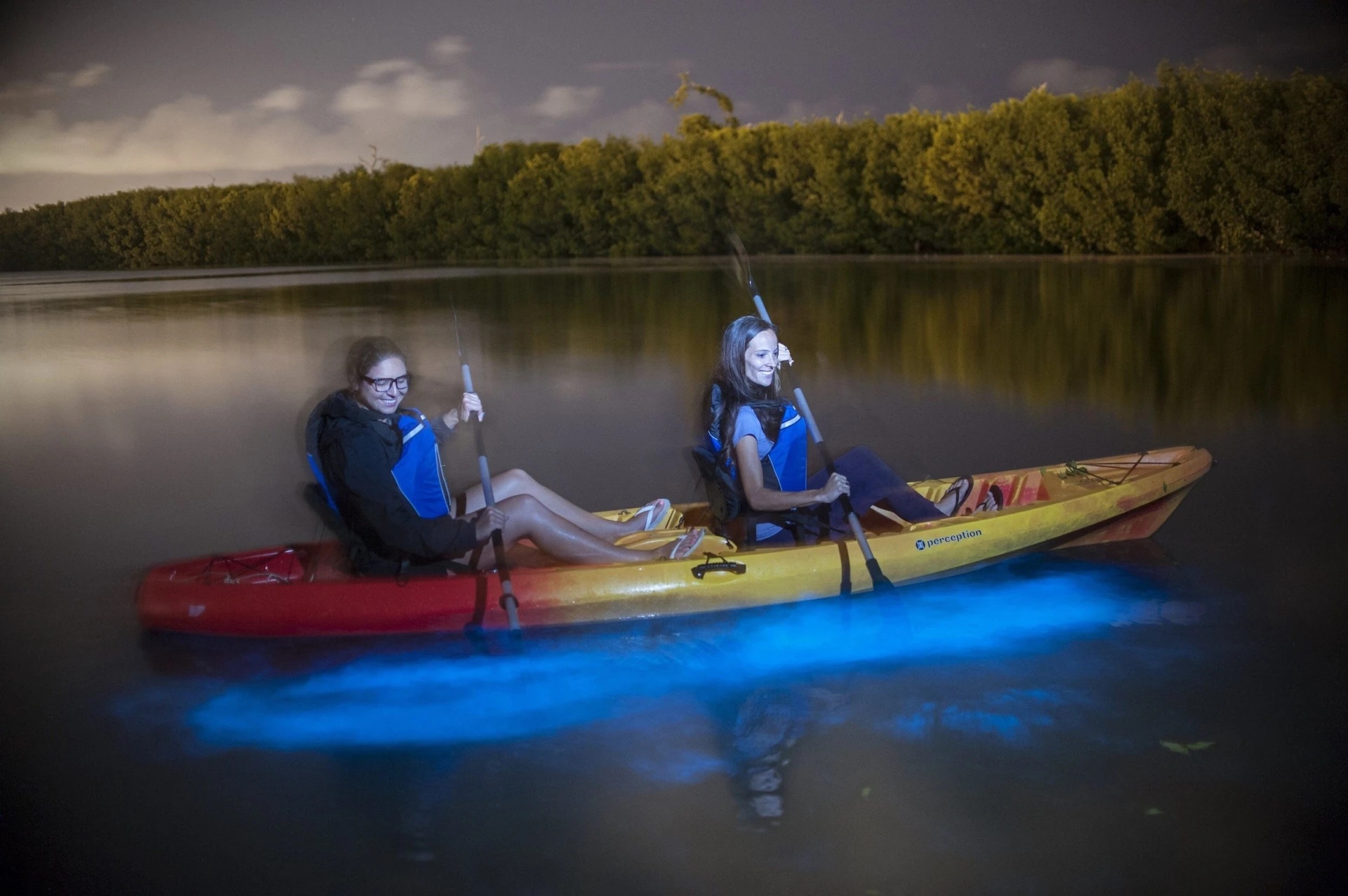 Kayakers glide through the bioluminescent bay at night.