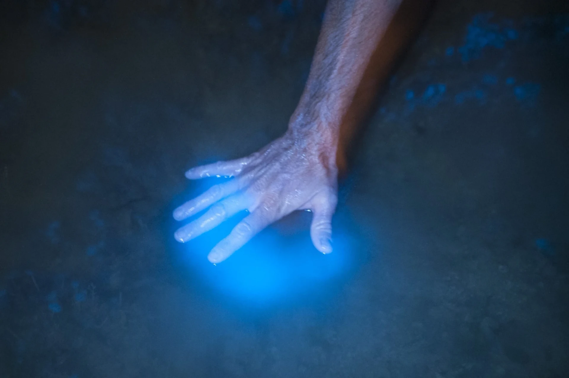 Water glows around a hand in the bioluminescent bay.