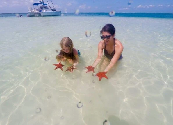 Red starfish live in shallow water at Starfish Point in Grand Cayman.