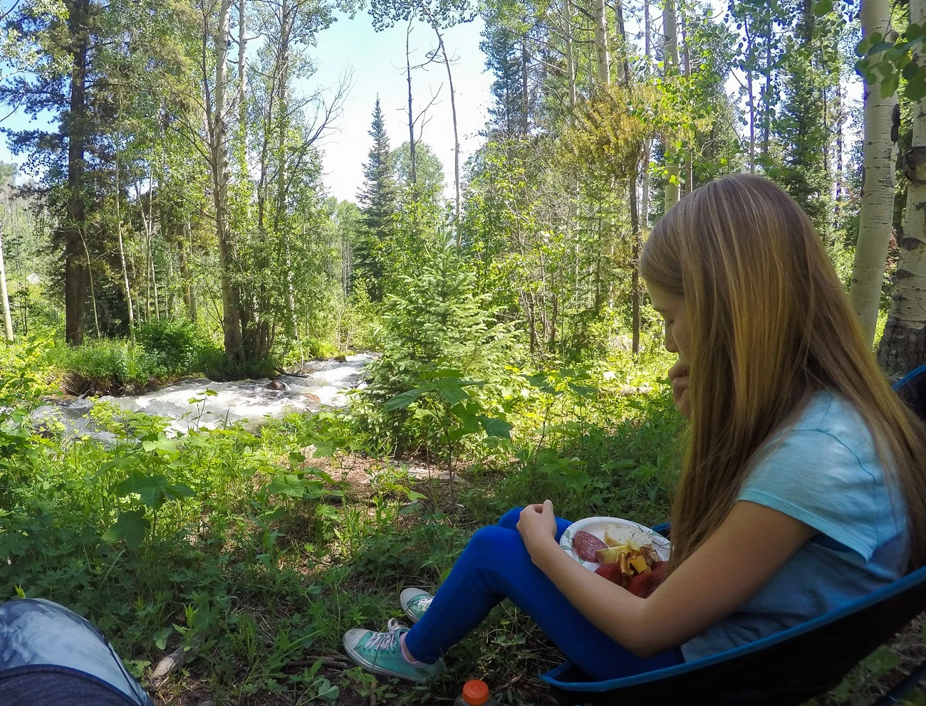 Picnic with a llama (not pictured) in Vail, Colorado