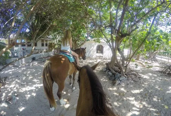 Getting ready to ride horses on the beach with Pampered Ponies on Grand Cayman.